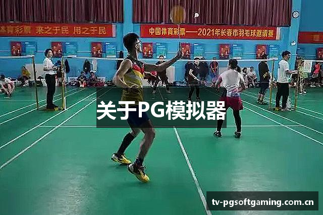 关于PG模拟器